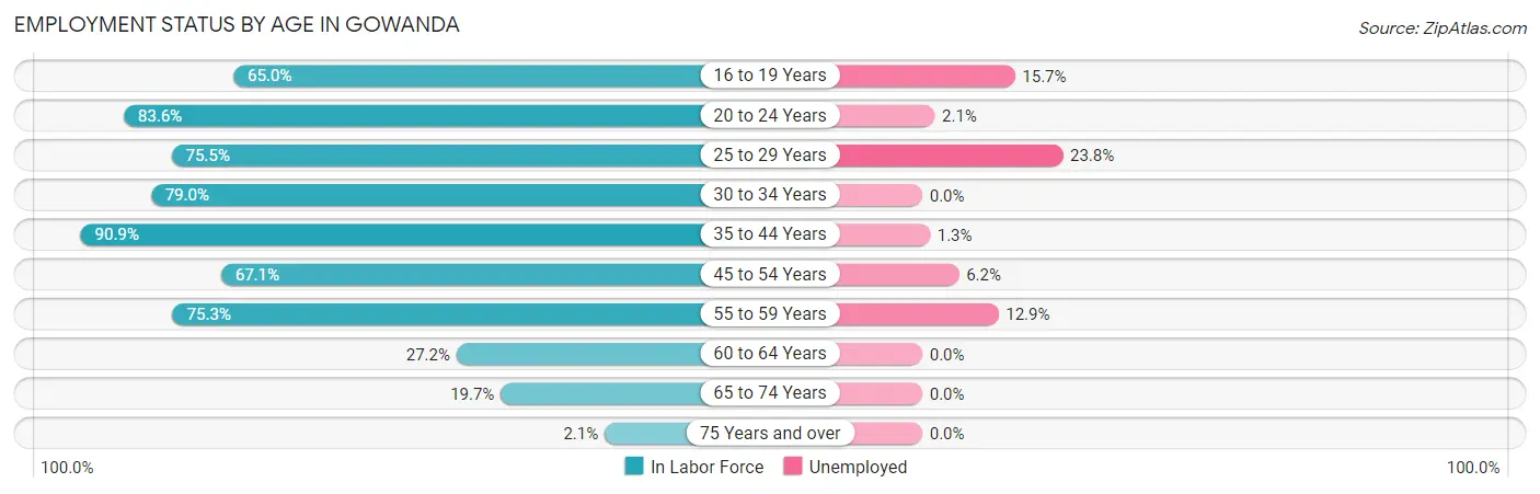 Employment Status by Age in Gowanda