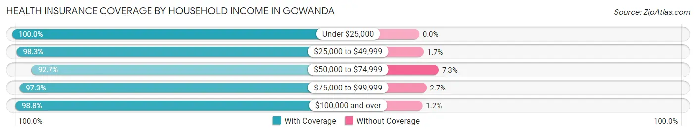 Health Insurance Coverage by Household Income in Gowanda