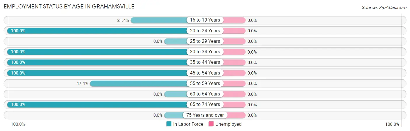 Employment Status by Age in Grahamsville