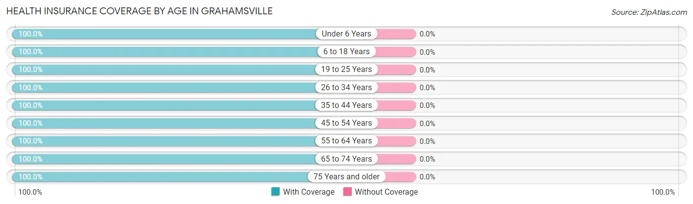 Health Insurance Coverage by Age in Grahamsville