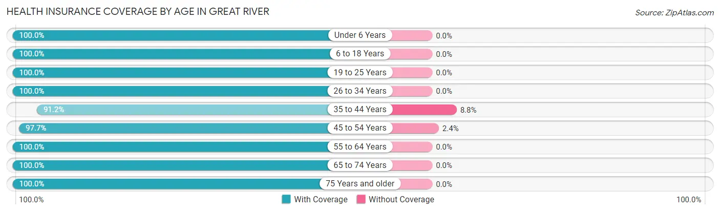 Health Insurance Coverage by Age in Great River