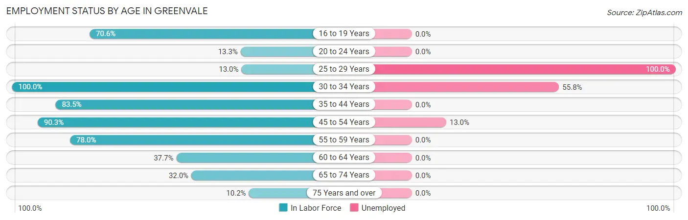 Employment Status by Age in Greenvale