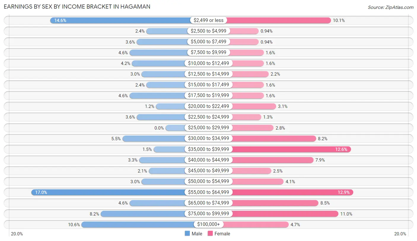 Earnings by Sex by Income Bracket in Hagaman