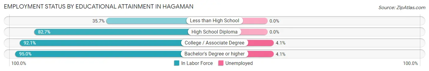 Employment Status by Educational Attainment in Hagaman