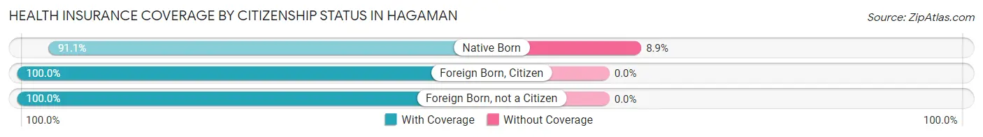 Health Insurance Coverage by Citizenship Status in Hagaman