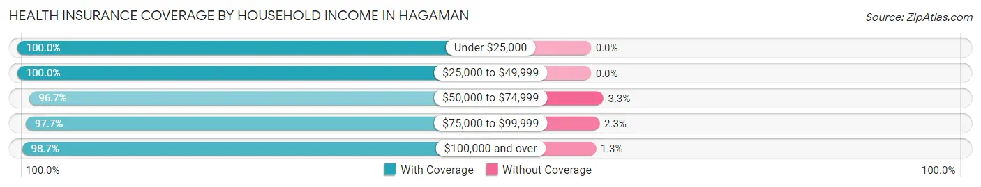 Health Insurance Coverage by Household Income in Hagaman