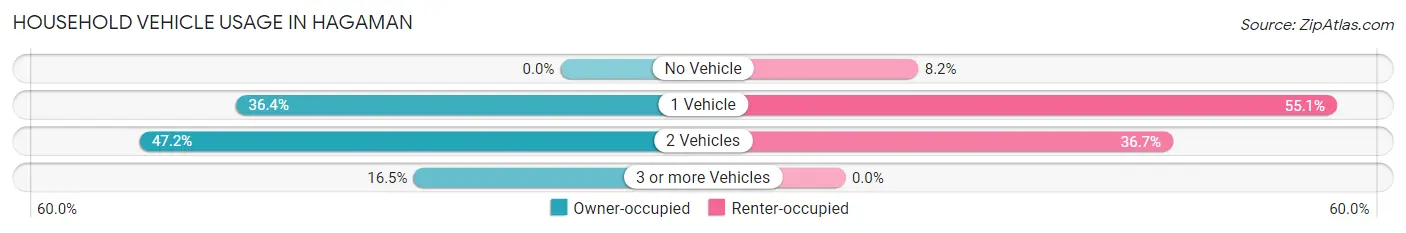 Household Vehicle Usage in Hagaman