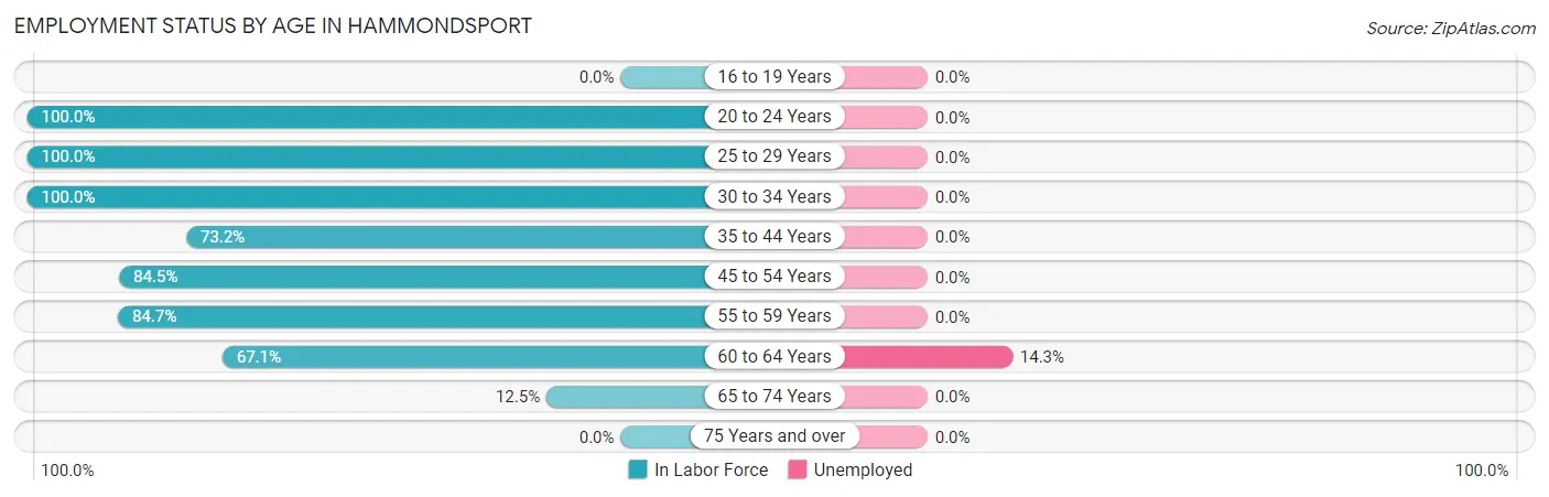 Employment Status by Age in Hammondsport