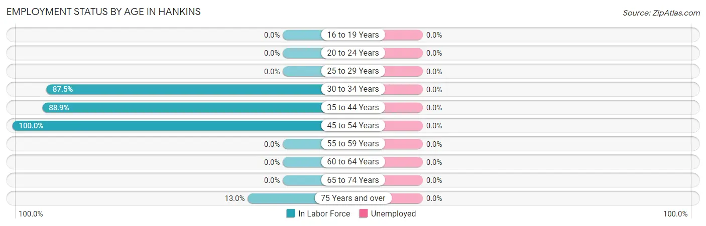 Employment Status by Age in Hankins