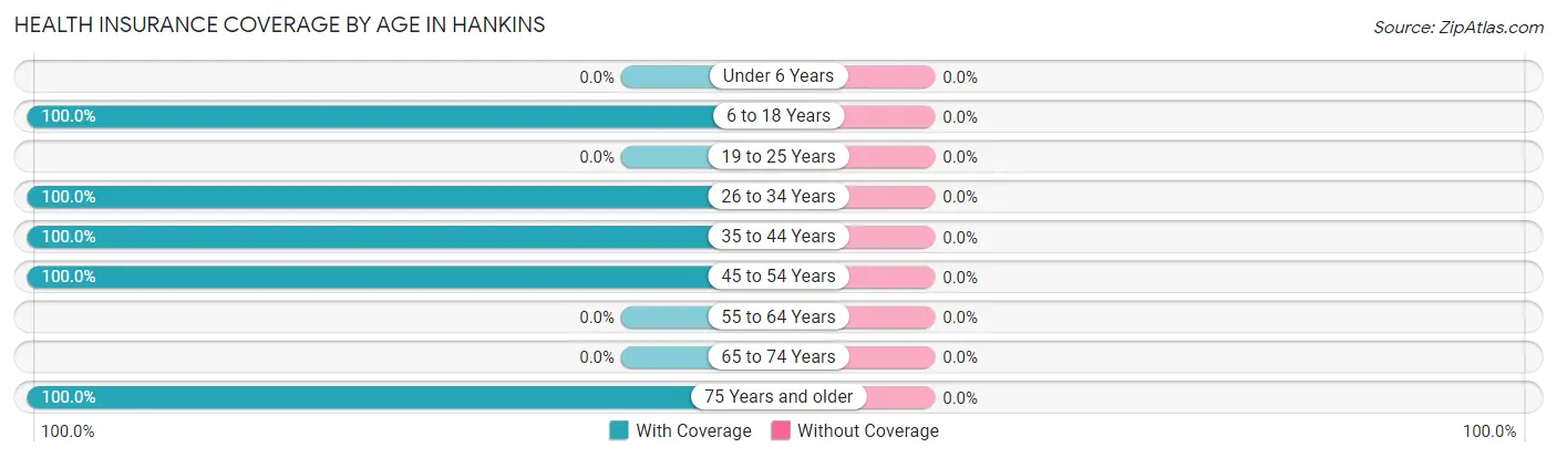 Health Insurance Coverage by Age in Hankins