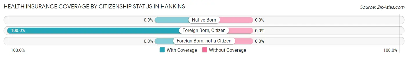 Health Insurance Coverage by Citizenship Status in Hankins