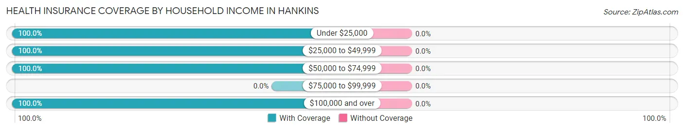 Health Insurance Coverage by Household Income in Hankins