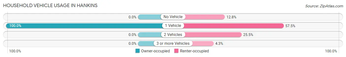 Household Vehicle Usage in Hankins