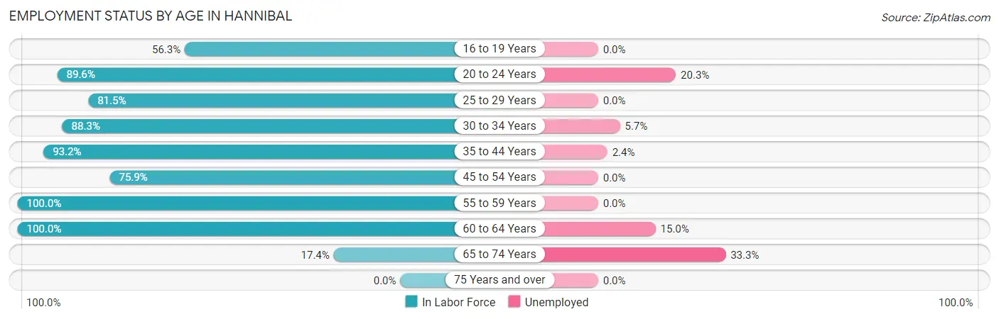 Employment Status by Age in Hannibal