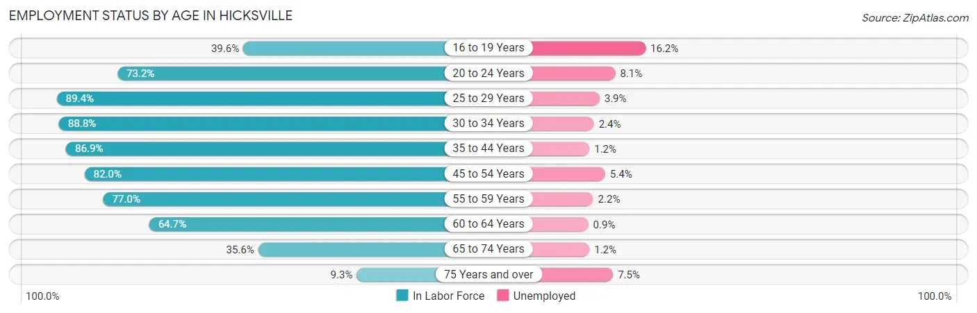 Employment Status by Age in Hicksville