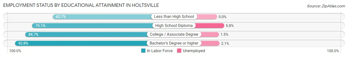 Employment Status by Educational Attainment in Holtsville