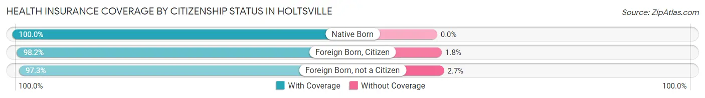 Health Insurance Coverage by Citizenship Status in Holtsville