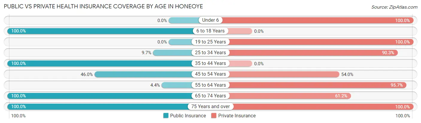 Public vs Private Health Insurance Coverage by Age in Honeoye