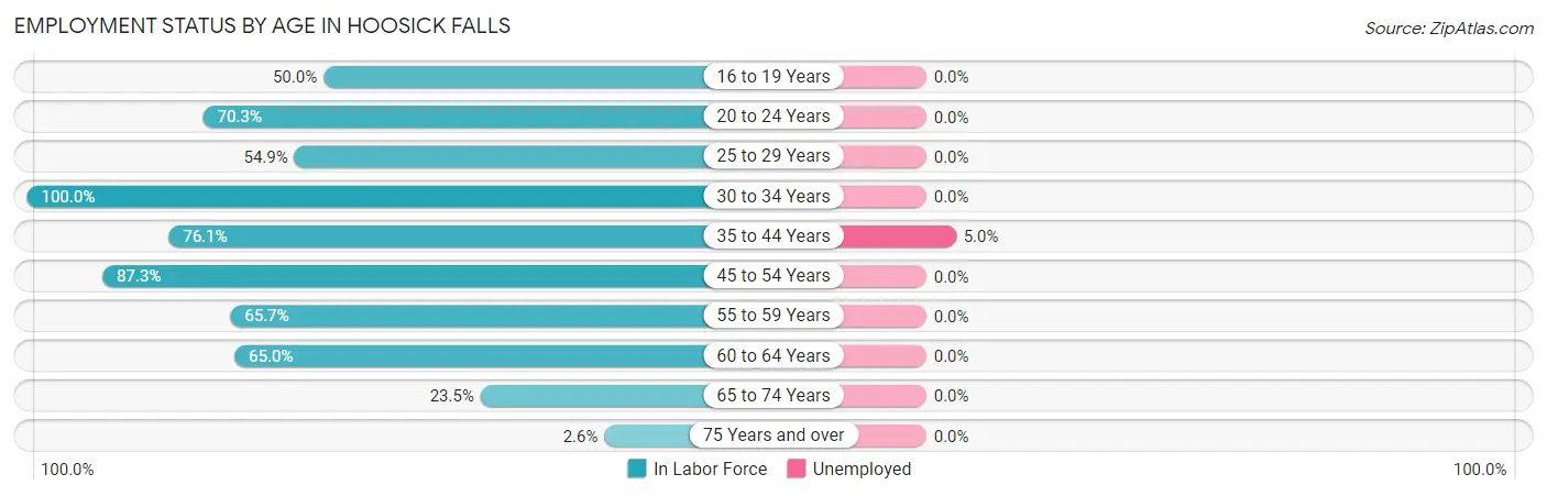 Employment Status by Age in Hoosick Falls