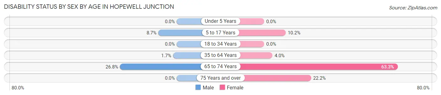 Disability Status by Sex by Age in Hopewell Junction