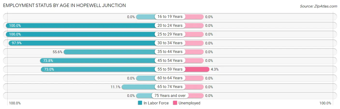 Employment Status by Age in Hopewell Junction