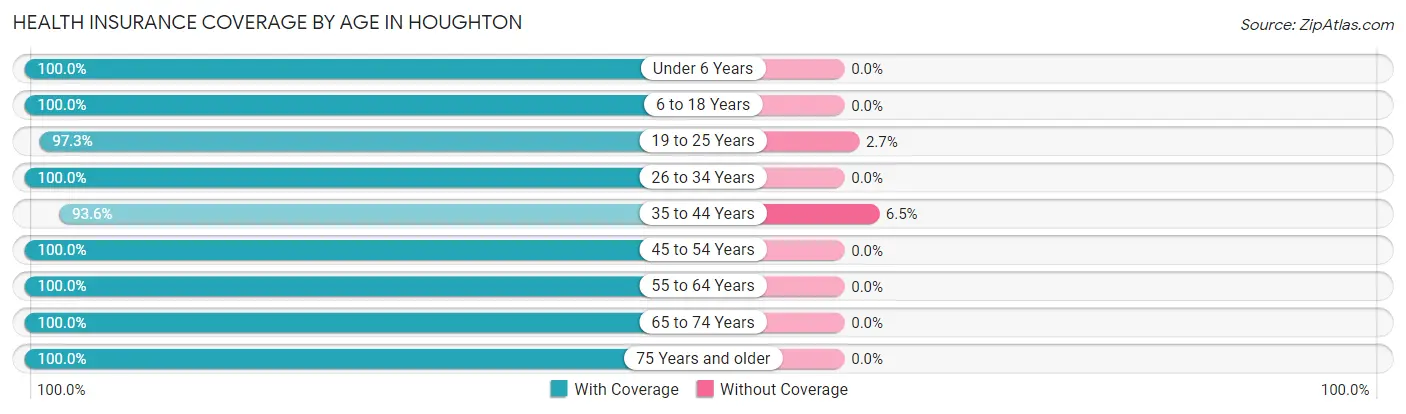 Health Insurance Coverage by Age in Houghton