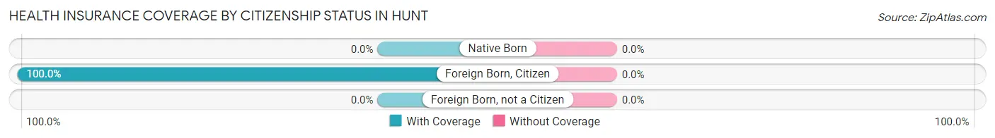 Health Insurance Coverage by Citizenship Status in Hunt