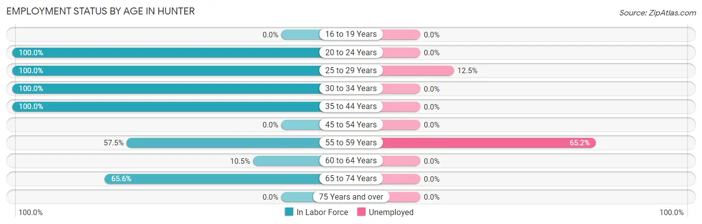 Employment Status by Age in Hunter