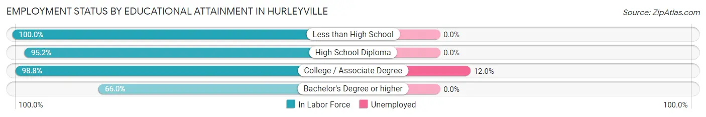 Employment Status by Educational Attainment in Hurleyville