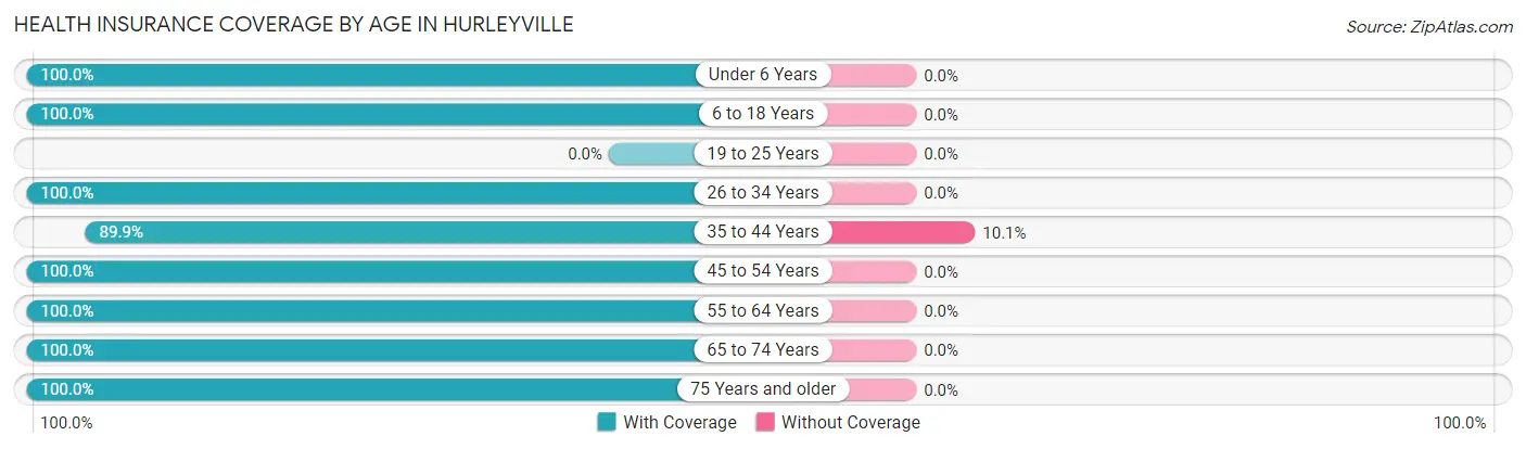 Health Insurance Coverage by Age in Hurleyville