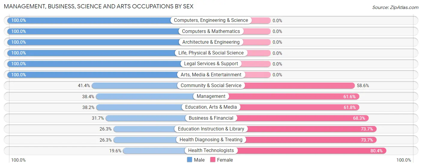 Management, Business, Science and Arts Occupations by Sex in Ilion