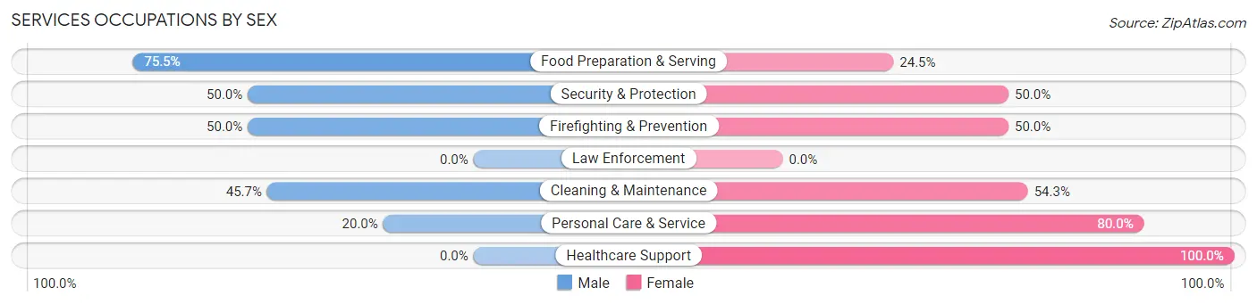 Services Occupations by Sex in Ilion