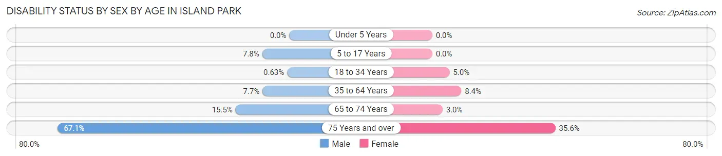 Disability Status by Sex by Age in Island Park