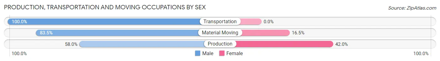 Production, Transportation and Moving Occupations by Sex in Islip