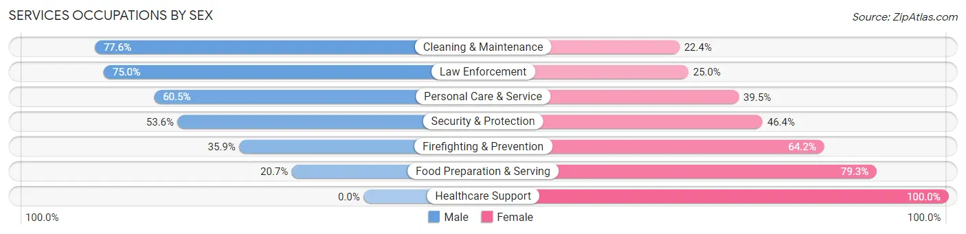 Services Occupations by Sex in Islip