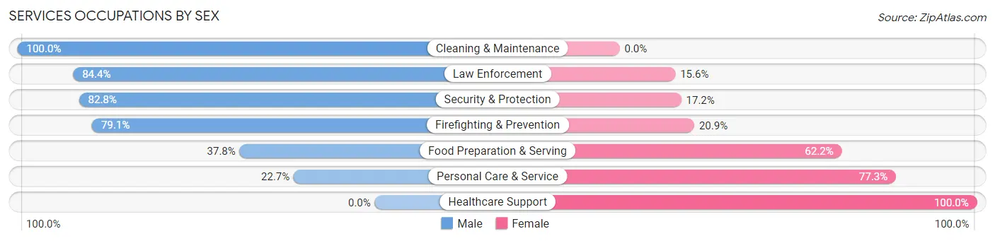 Services Occupations by Sex in Jefferson Valley Yorktown