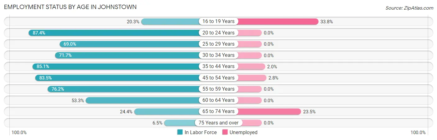 Employment Status by Age in Johnstown