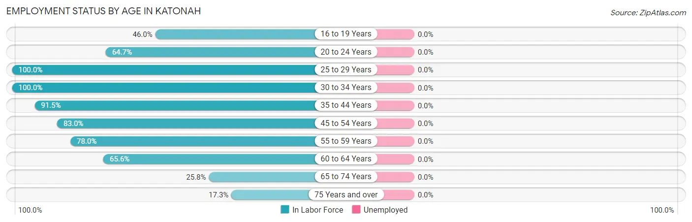 Employment Status by Age in Katonah