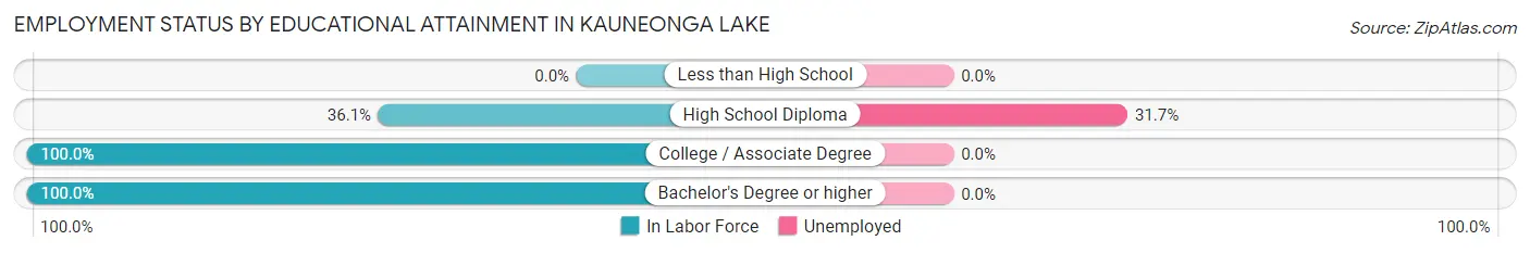 Employment Status by Educational Attainment in Kauneonga Lake