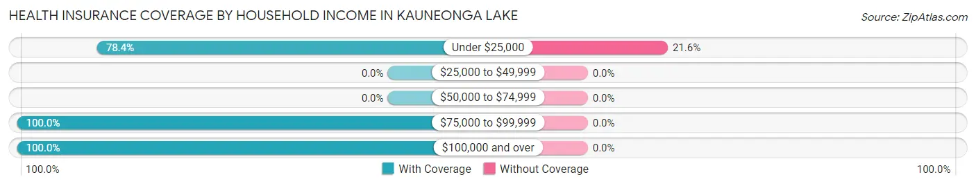 Health Insurance Coverage by Household Income in Kauneonga Lake