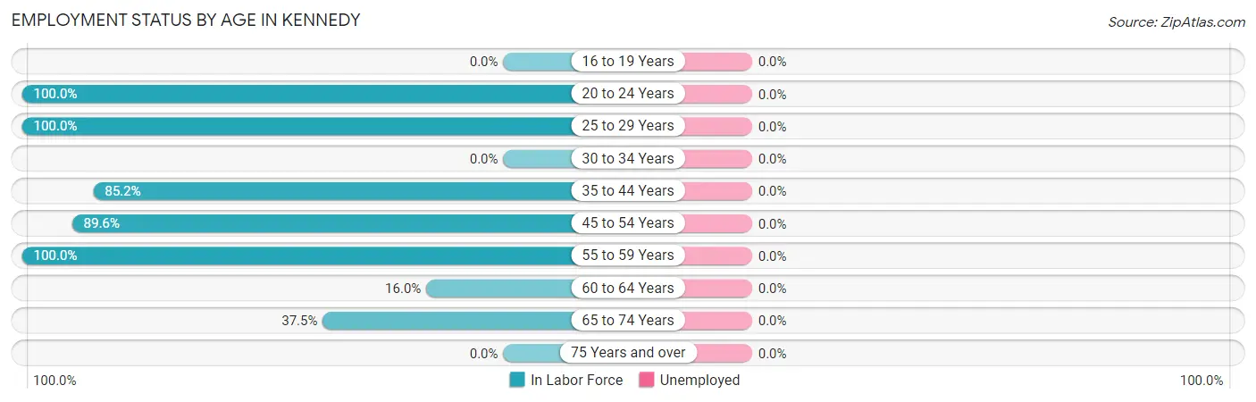 Employment Status by Age in Kennedy