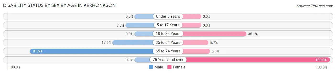 Disability Status by Sex by Age in Kerhonkson