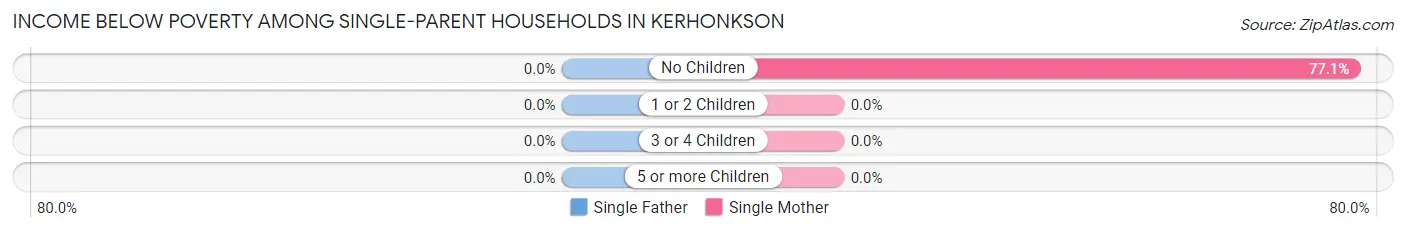 Income Below Poverty Among Single-Parent Households in Kerhonkson