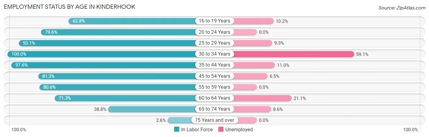 Employment Status by Age in Kinderhook