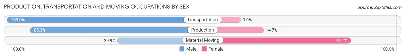 Production, Transportation and Moving Occupations by Sex in Kiryas Joel