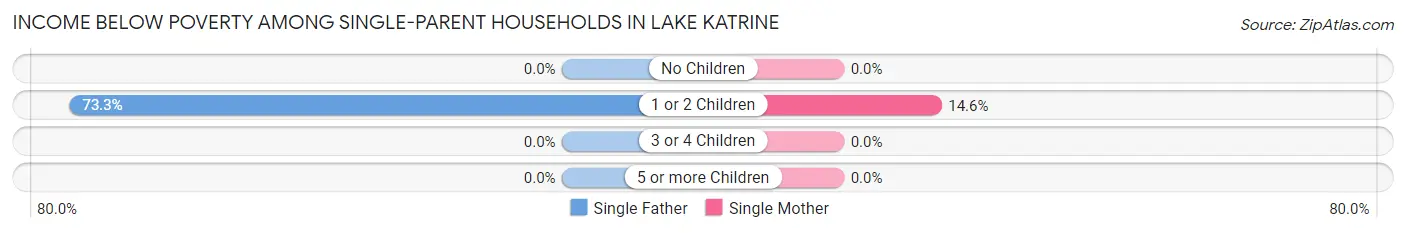 Income Below Poverty Among Single-Parent Households in Lake Katrine