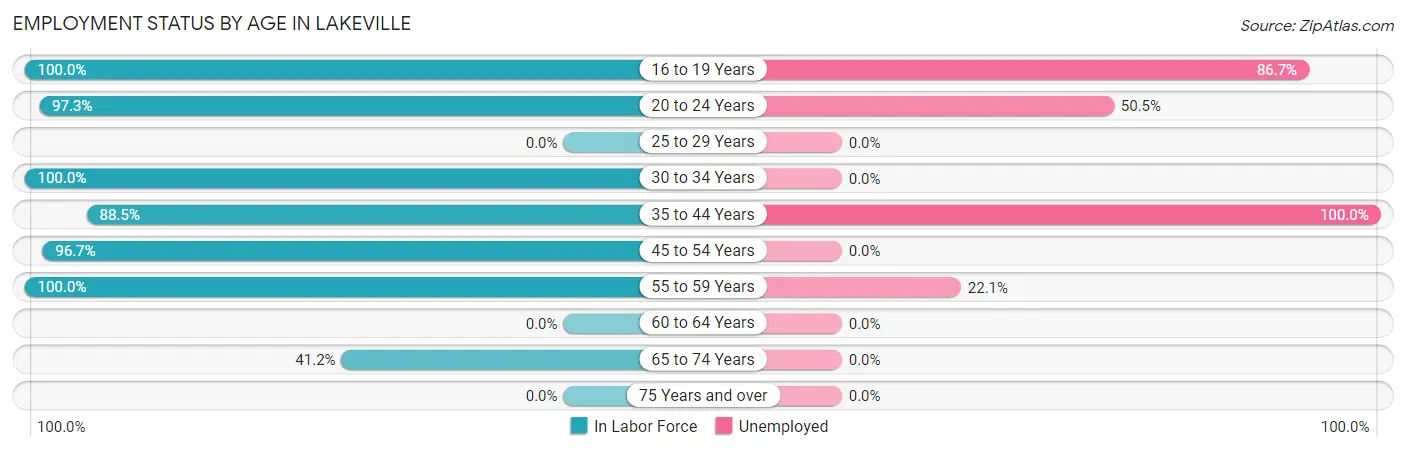 Employment Status by Age in Lakeville