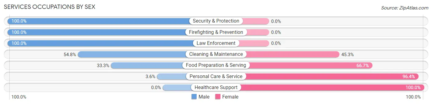 Services Occupations by Sex in Lancaster