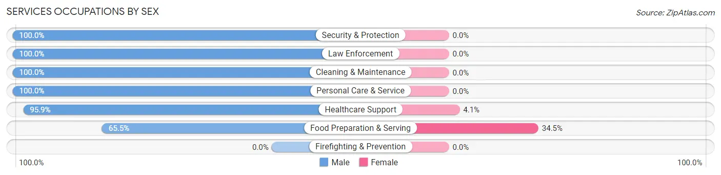 Services Occupations by Sex in Lansing