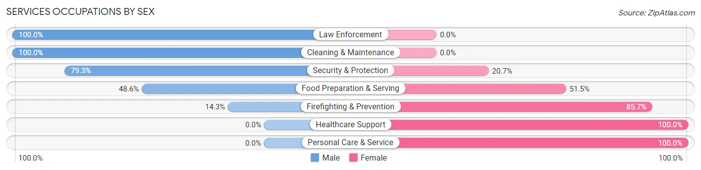 Services Occupations by Sex in Le Roy